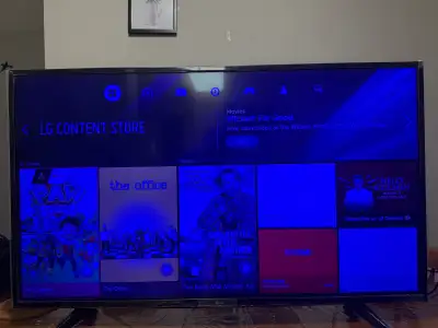 LG 49” smart TV(49UH6030). Screen is bluish as shown in pics, View more