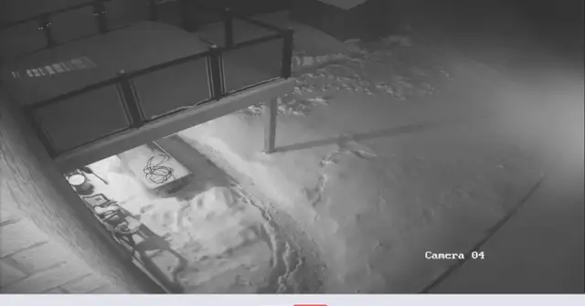 Walkout Basement for Rent – Humber West, Brampton