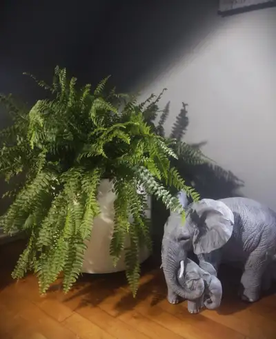 LARGE STONG FIBERGLASS PLANTER-16 X 16-OUT OR INDOORS, View more