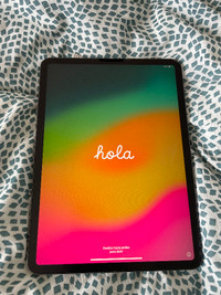 11 inch Apple iPad Pro 256gb (2018) - Excellent Condition + Case