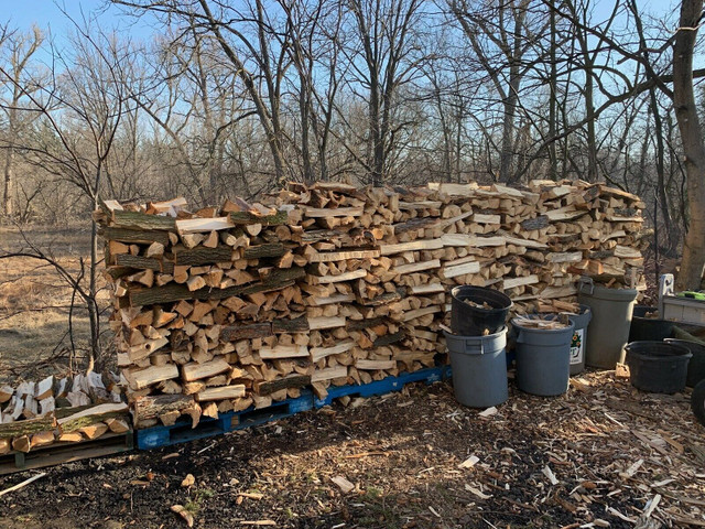 Bagged firewood in Fireplace & Firewood in Mississauga / Peel Region - Image 3