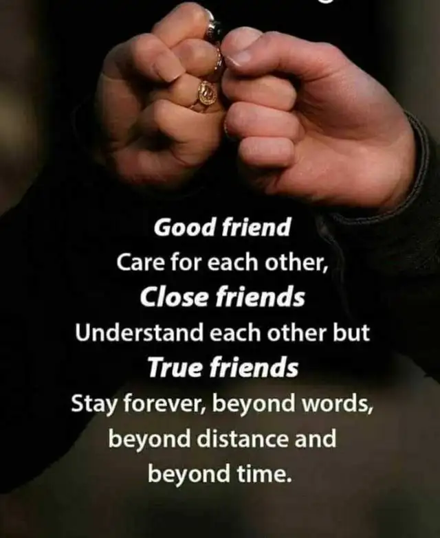 Looking for friendship 64379844566017120