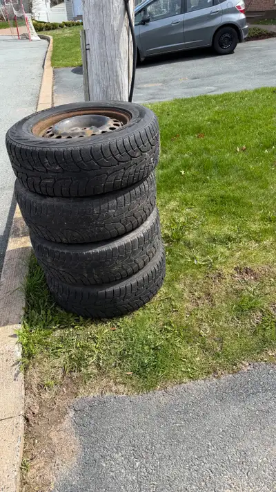 On Sprucewood Court in Dartmouth. Come and get them! Message me before you come so I can confirm sti...