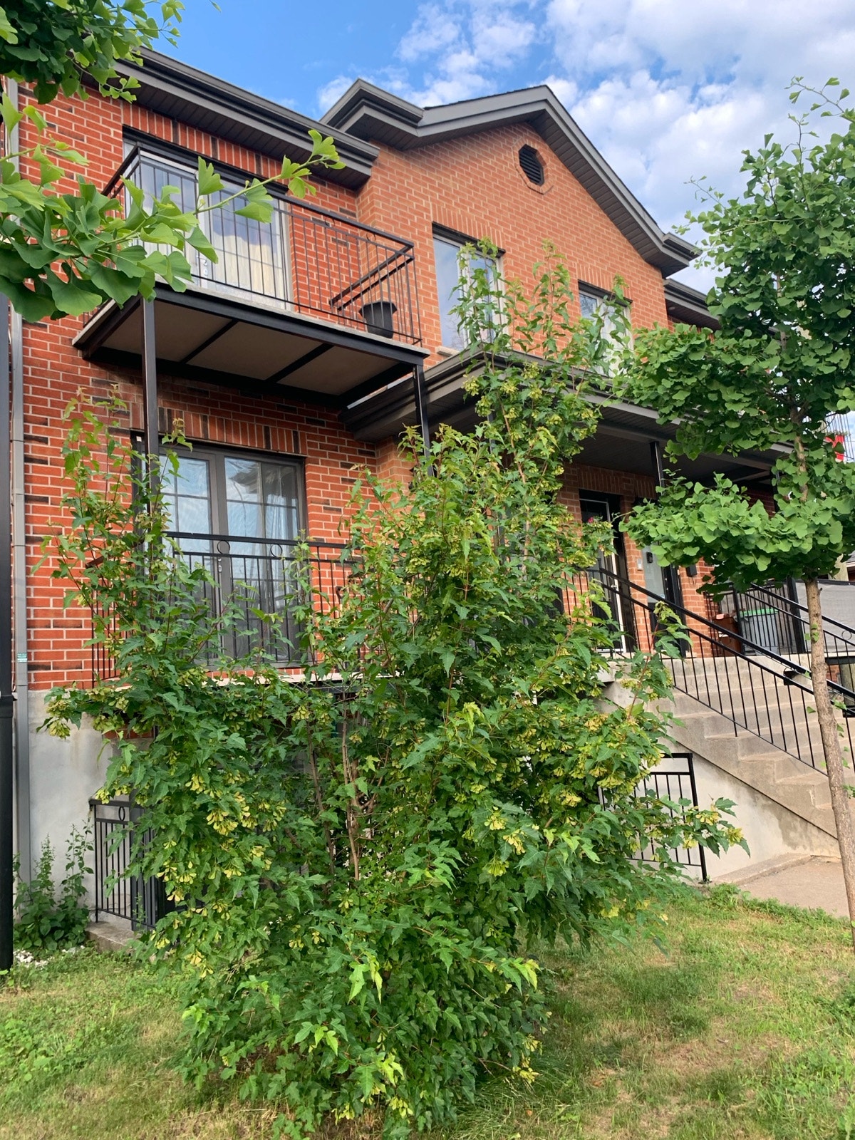 51/2 a louer for rent with garage intérieur — photo 2