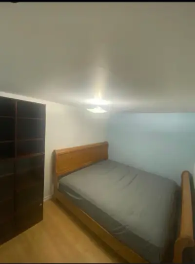 One Room in sharing for $450 each available for one girl in newly renovated Basement in Brampton loc...