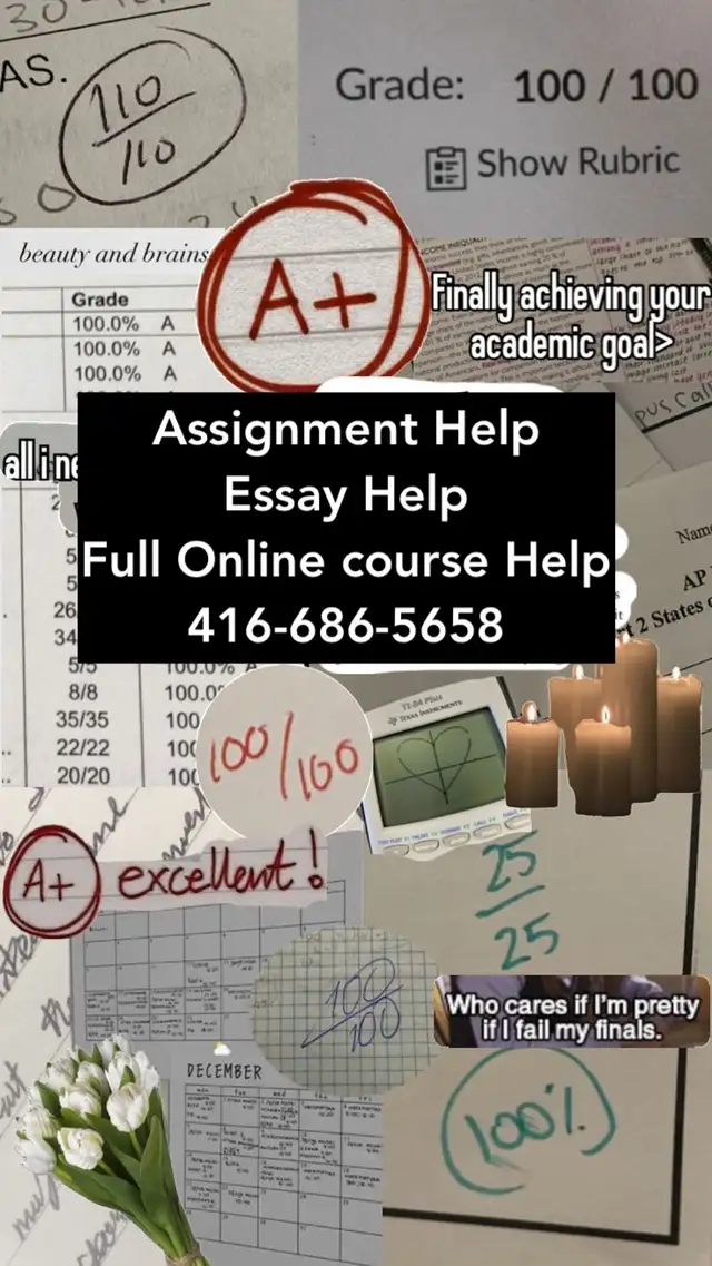 Assignment Help | Essay Help | Homework Help, Online Course Help