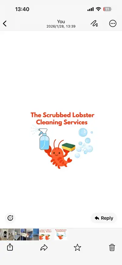 TheScrubbedLobster  Cleaning Services, View more