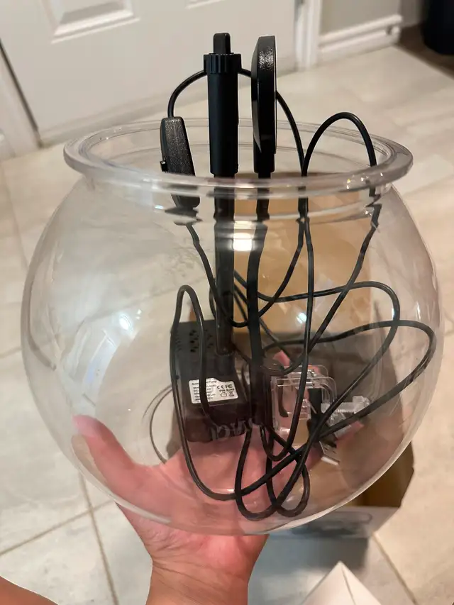Desktop fish bowl - 4L in Fish for Rehoming in London - Image 3
