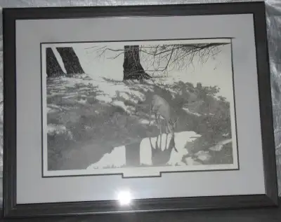 Deer Picture 'The First Small Sip', View more