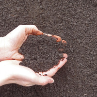 Landscaping products (Topsoil and base gravel)