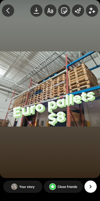 GREAT shape PALLETS CLEAN AND DRY EURO SKID $8 IN STOCK INDOORS