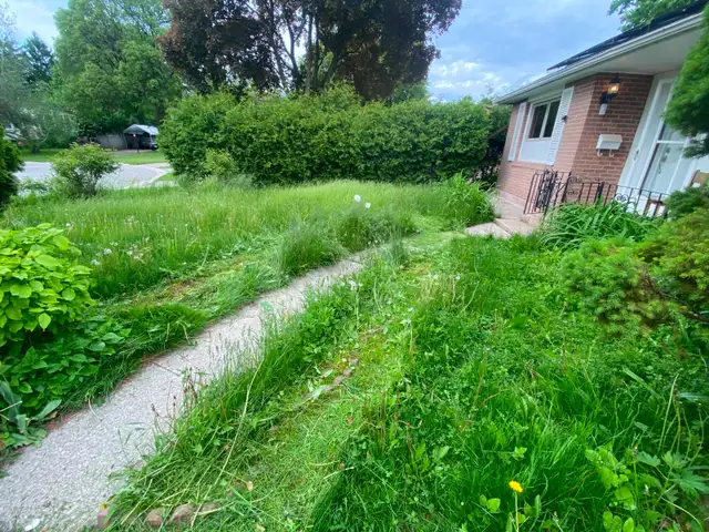 Lawn Care and Yard Maintenance Services