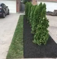 CITY GREEN SODDING FOR FREE QUOTES CALL 604 818 6857 , View more