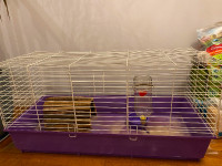 Large guineapig cage with accessories and food