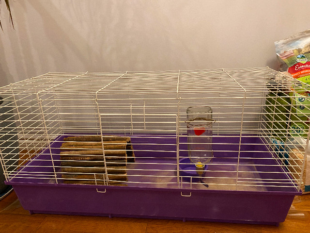Large guineapig cage with accessories and food in Accessories in London