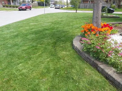 Lawn Care Scarborough, View more