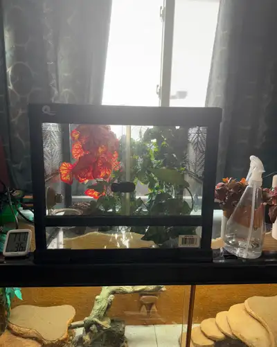 Like New Atasuki Reptile Enclosure, View more