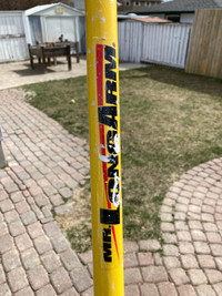 Mr long arm painting pole 6 to 18 foot length