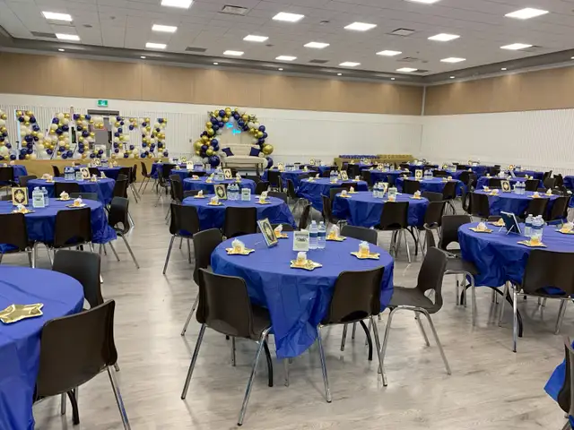 PARTY HELPERS FOR ALL YOUR SPECIAL EVENTS!!62863256060418123