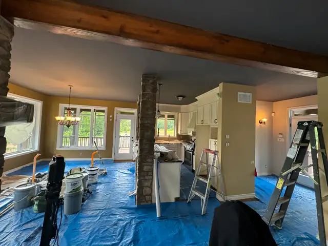 entrepreneur painter62863227457666121