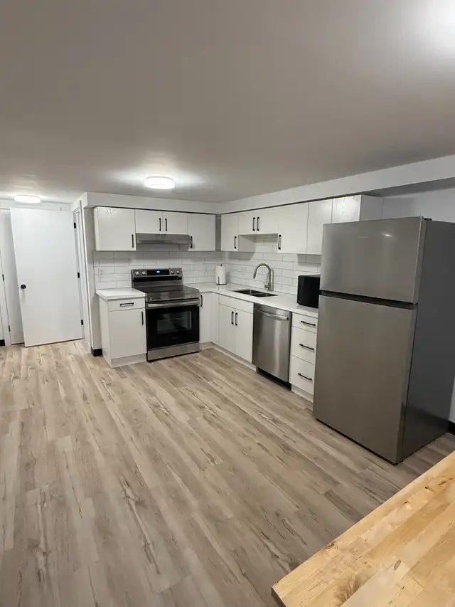 Newly Renovated, CLEAN and Spacious 2 beds Apartment