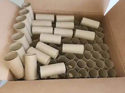 Empty Toilet Paper Rolls for Crafts, Cardboard Craft Tubes, View more