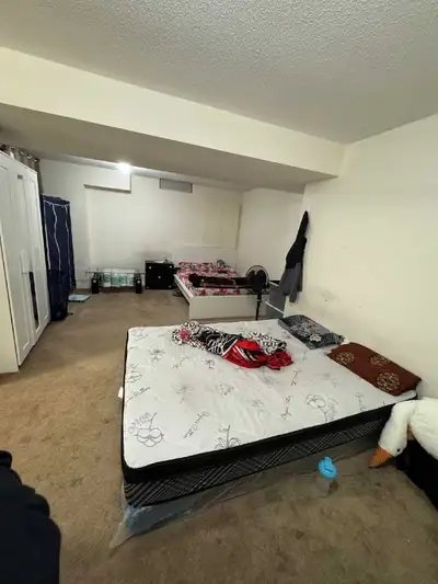 A beautiful renovated proper walkout basement in a ravine lot with separate entrance, huge patio, is...