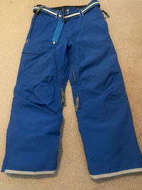 DUB Brand ski pants