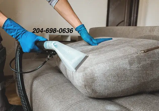 Professional Carpet  Cleaning & Upholstery Cleaning & Mattress