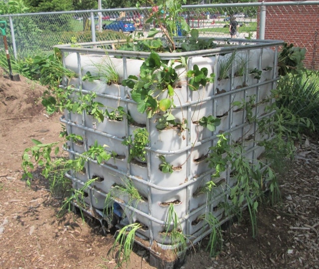 1000 litre ibc totes water tanks rain barrels collect rain SAVE