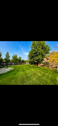 Lawn Mowing and More! - Waterloo Lawn Care 