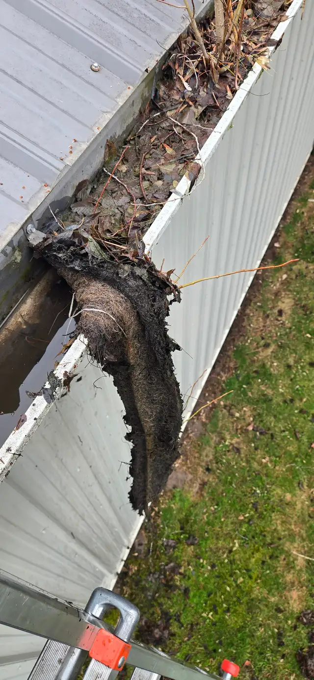 Gutter and Window Cleaning560187903627110402