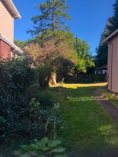 Private 1 bedroom basement suite for ONE occupant-only 3 steps down! Partly furnished Utilities incl...