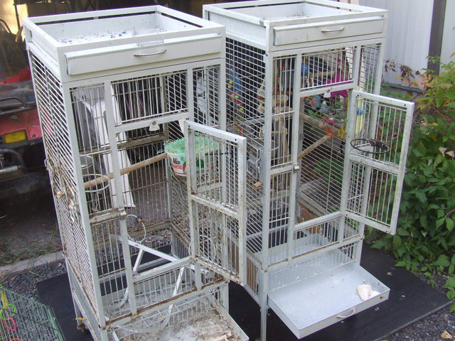 2 Deluxe Medium Bird Cages & 1 Small Cage in Accessories in Sudbury - Image 4