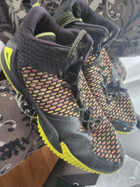 PEAK "Lou Williams" Outdoor Basketball Shoes (US 13)