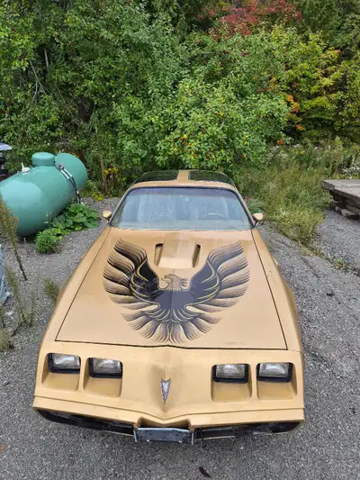 1980 Pontiac firebird. Runs but not certified, great hobby car. Has a 301 engine.