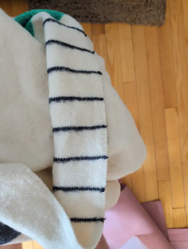 Hudson's Bay 4 point blanket for pickup in Vanier in Bedding in Ottawa - Image 4