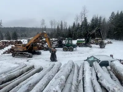 Local logging contractor will harvest and haul your timber to local mills.250-398-0641.