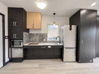 1 Bed / 1 Bath - LOWER LEVEL - NORTH YORK