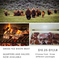 Bison Meat (Dalziel Ranches) for sale: 1/2's, 1/4's, by the cut