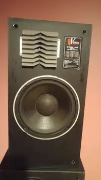 Floor standing speakers Vision Acoustics in working condition
