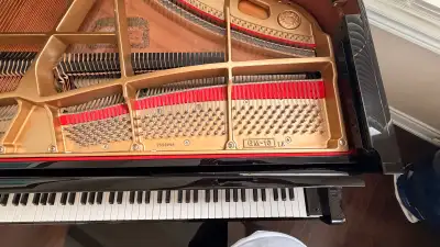 Kawai GM-10 LE Grand Piano, View more
