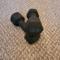 12lb. Weights