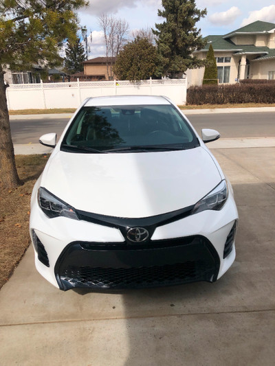 2019 Toyota Corolla SE for sale