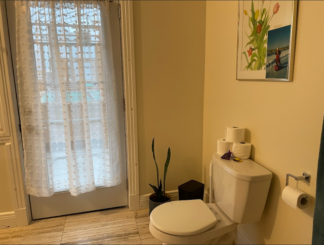 Room for Rent - Female individual in Room Rentals & Roommates in Peterborough - Image 10