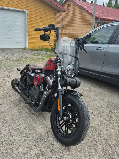 16" ape hangers with RSD grips 2-1 Bassani pipe Vity's massive air cleaner Red FP4 Vance and Hines f...