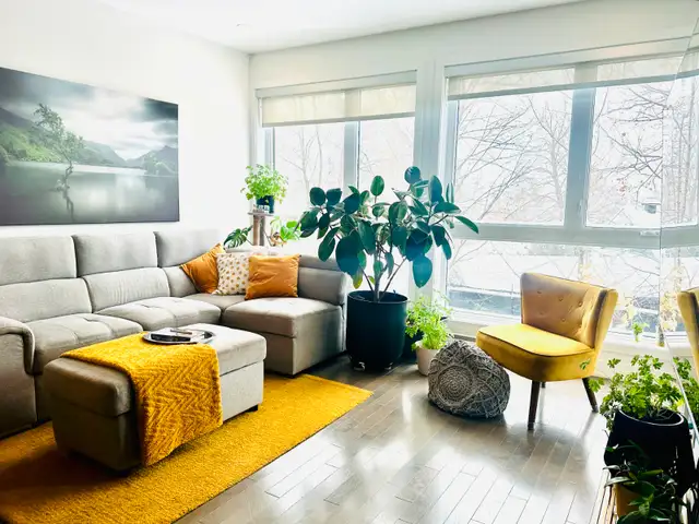 Condo 4 1/2 - occupation rapide