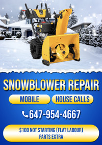 Snowblower rep air on the spot ( mobile )( house calls )