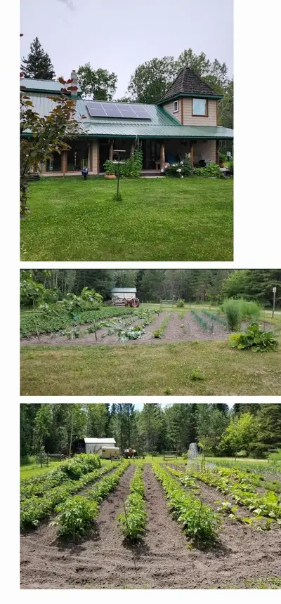 155.192 acres in the beautiful Boreal Forest near Turtle Lake. The property has a house, barn, 2 wel...