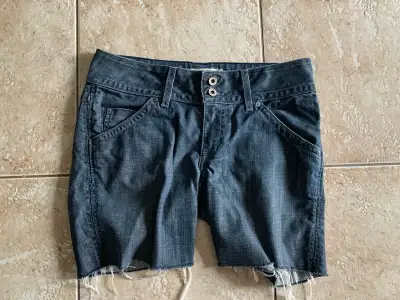 Hudson Shorts size small, View more